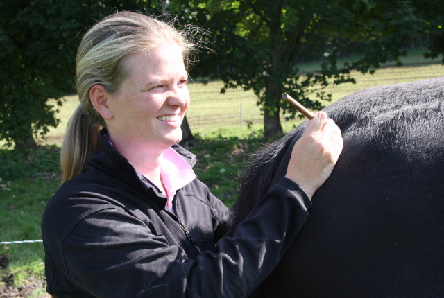 Pferde-Osteopathie Wölben der Lendenwirbelsäule
